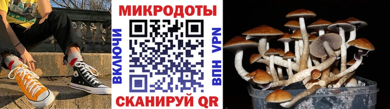 Купить закладки  Павловская  Галлюциногенные грибы мухоморы 